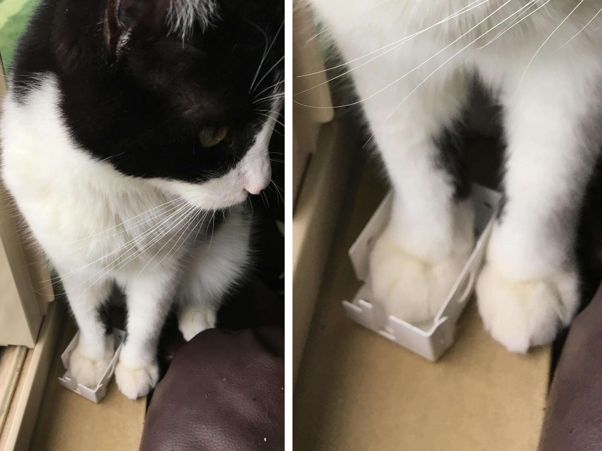 No+box+is+too+small.