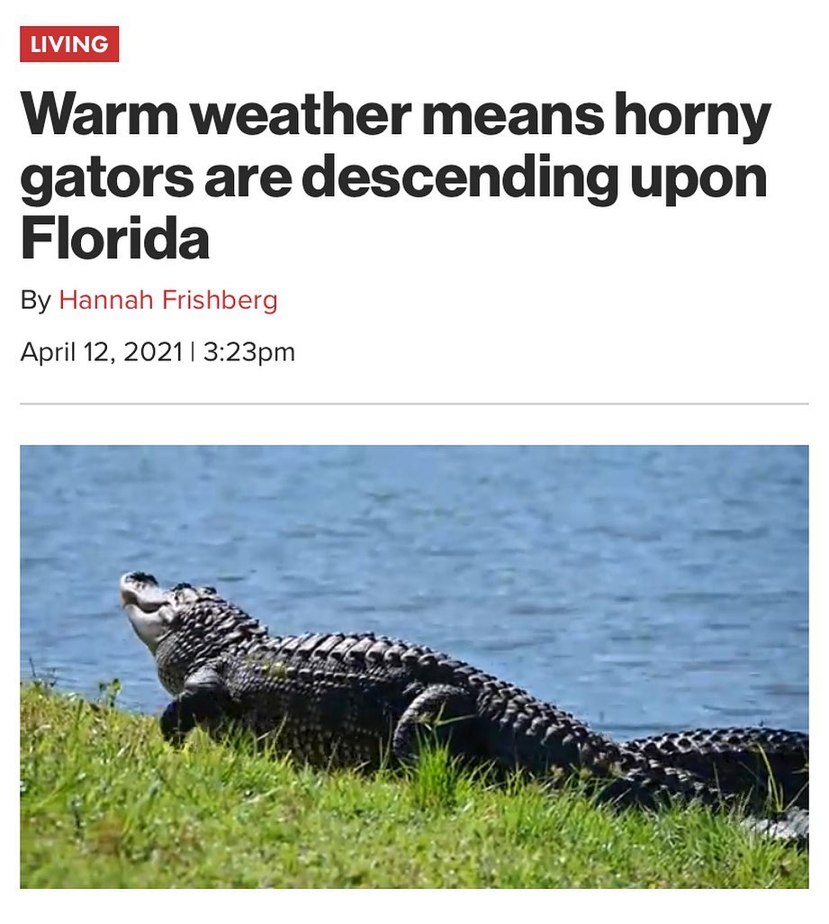 The+gators+can+get+it%21