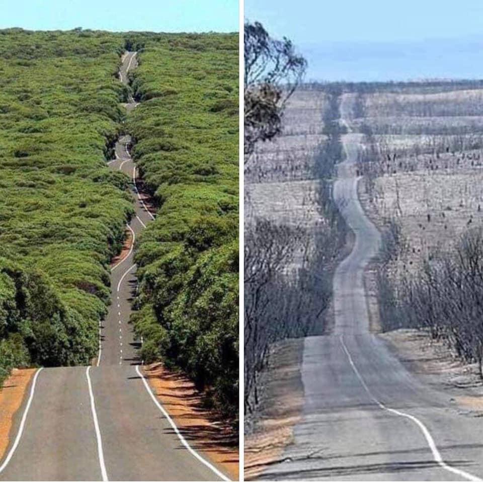 Kangaroo+Island%2C+AUS.+Before+and+after.