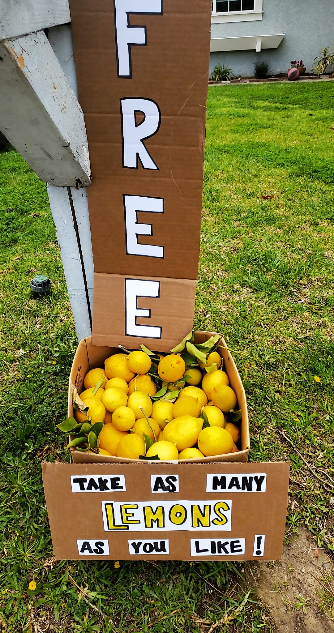 When+a+box+gives+you+lemons%26%238230%3B