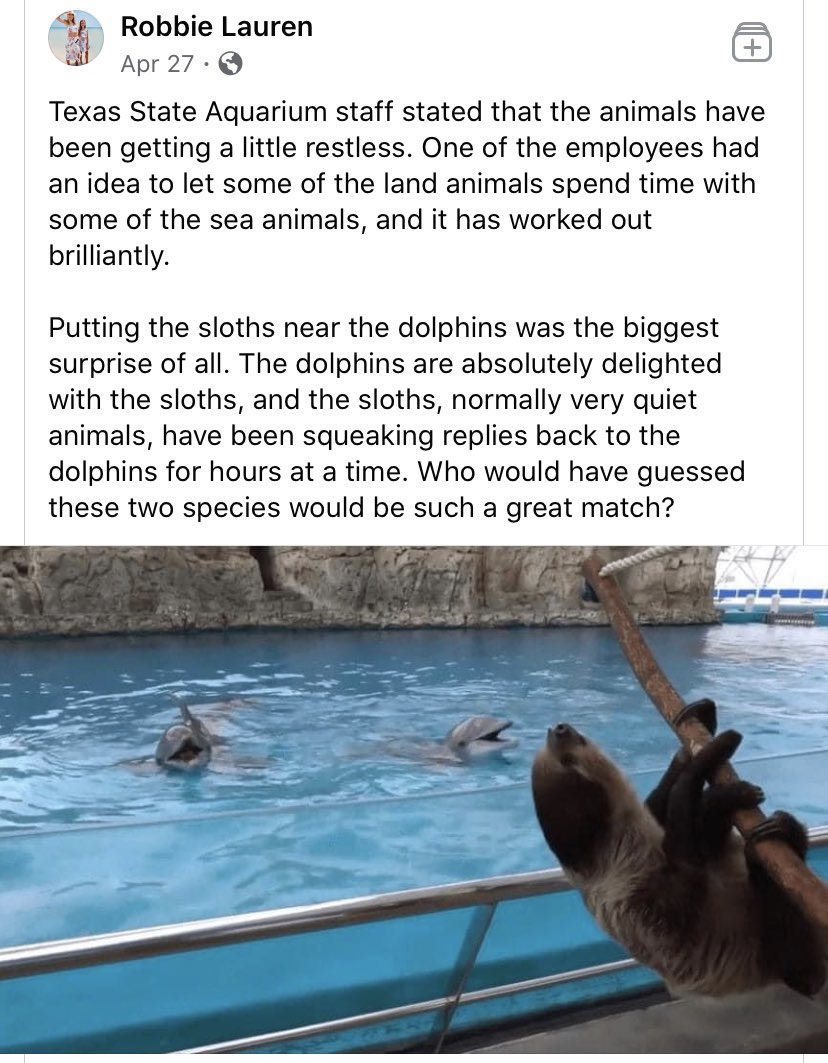 The+sloth+and+the+dolphin+shall+lie+down+together%26%238230%3B