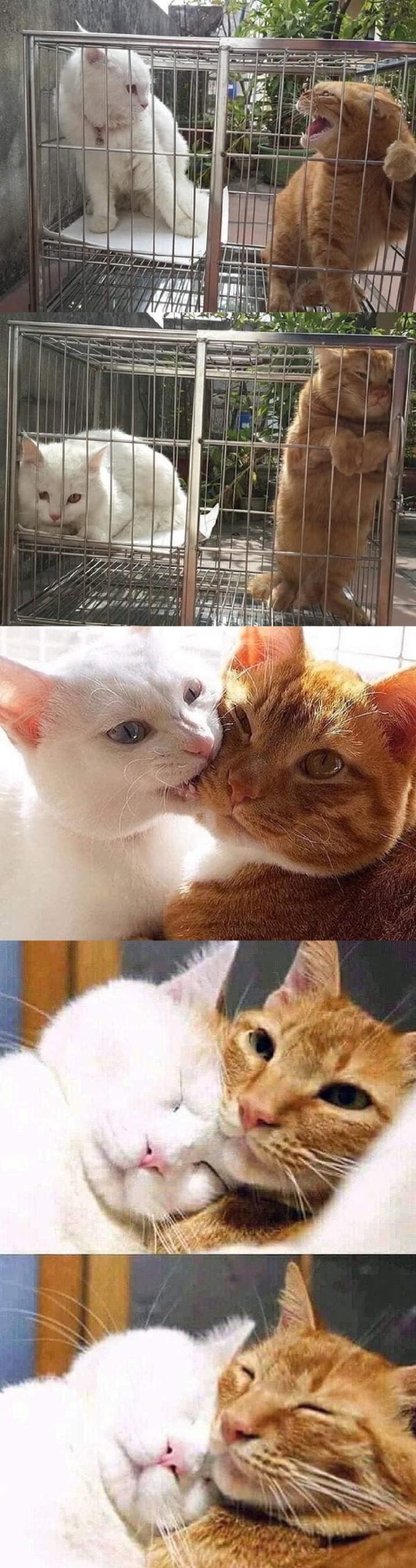 I+was+just%2C+learning+to+love.