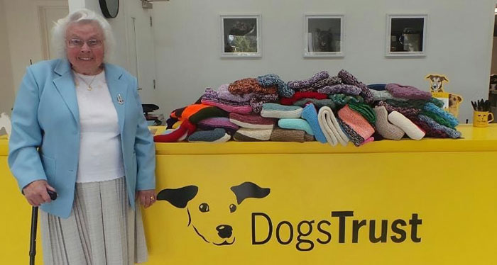 89-Year-Old+Woman+Has+Knitted+450+Blankets+For+Shelter+Dogs