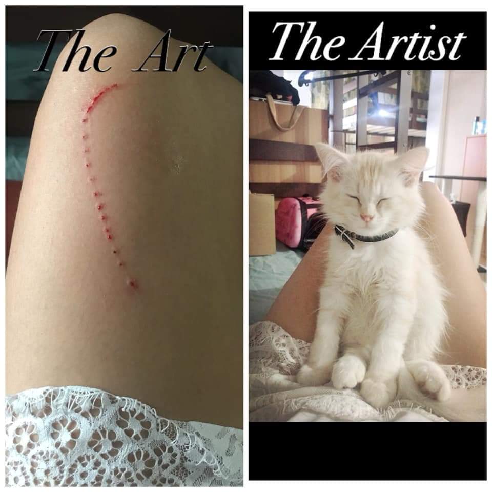 A+modern+day+Picasso.