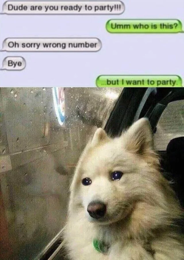 Yes%2C+yes%21+One+hundred+percent+yes%26%238230%3B+++++%3A%2F