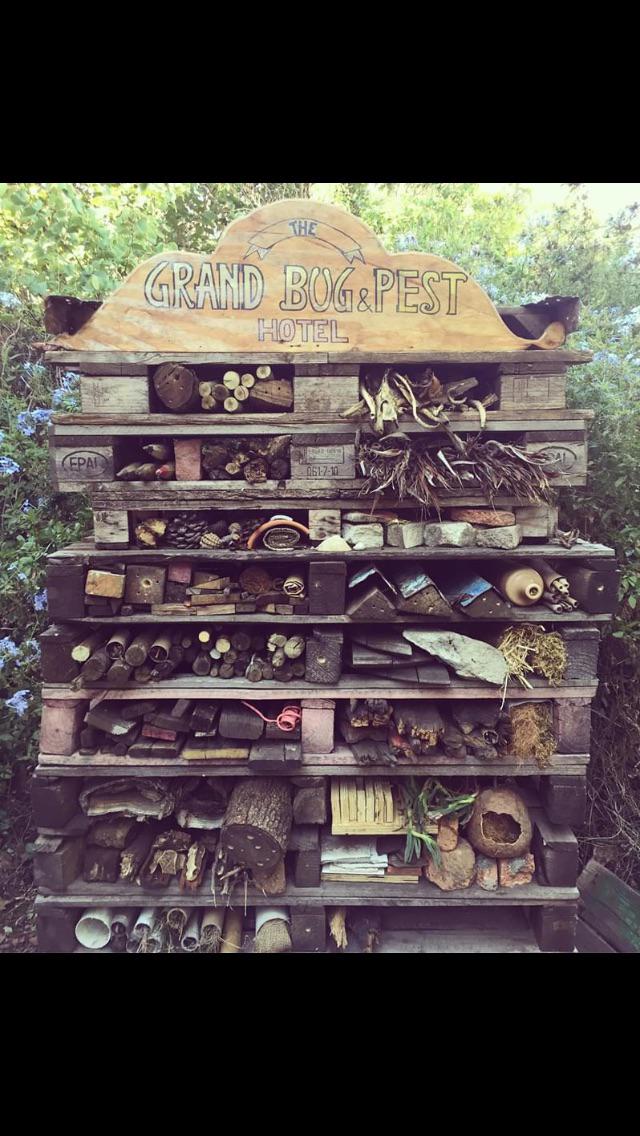 It%26%238217%3Bs+an+insect+hotel.