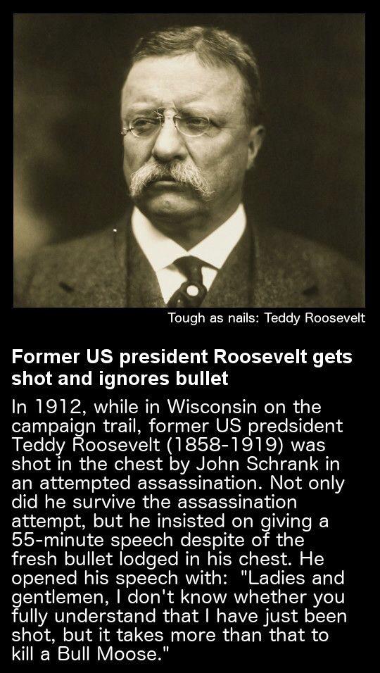 Presidential+Bull+Moose