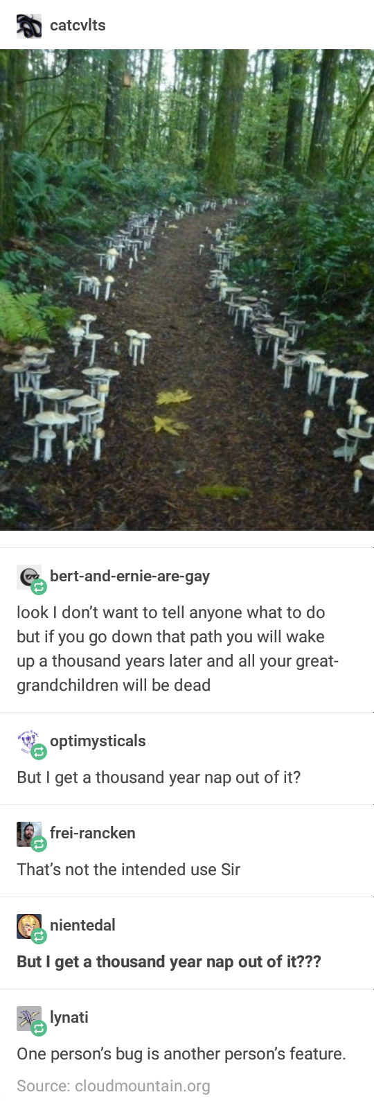 Fairy+approved+anti-aging+program