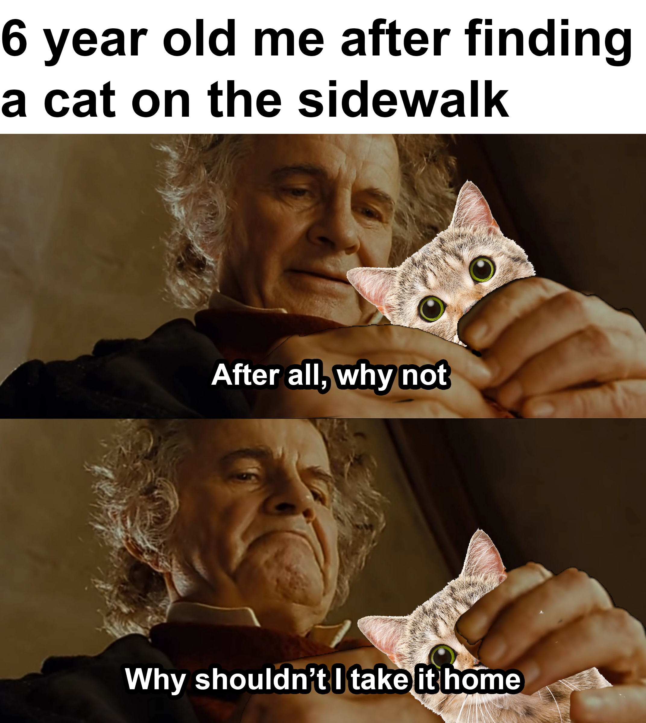 I+could+ignore+the+lost+kitty+posters%26%238230%3B