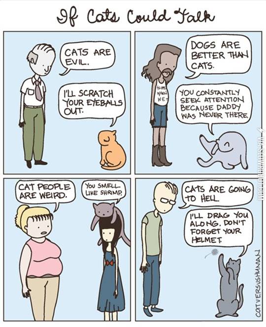 If+cats+could+talk.