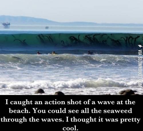 Cool+or+terrifying%3F