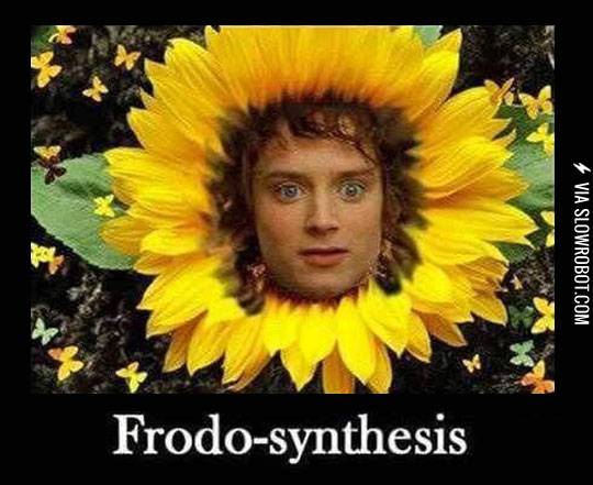 One+Of+The+Weirdest+Things+I%26%238217%3Bve+Found+On+The+Internet