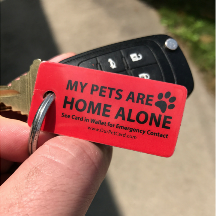 Must+have+for+pet+owners