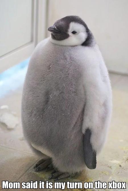 Mom+Said+It+Is+My+Turn+On+The+Xbox