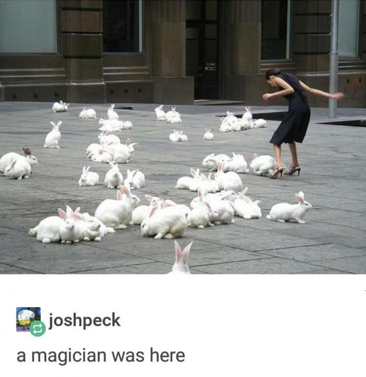 Illusions%2C+Michael