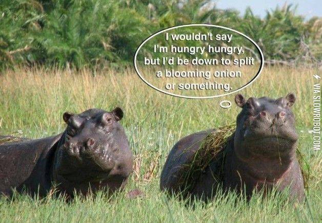 Are+you+hungry+hungry%3F