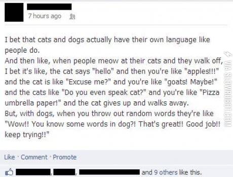 Talking+to+your+pets