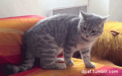 And+now+for+my+exit.