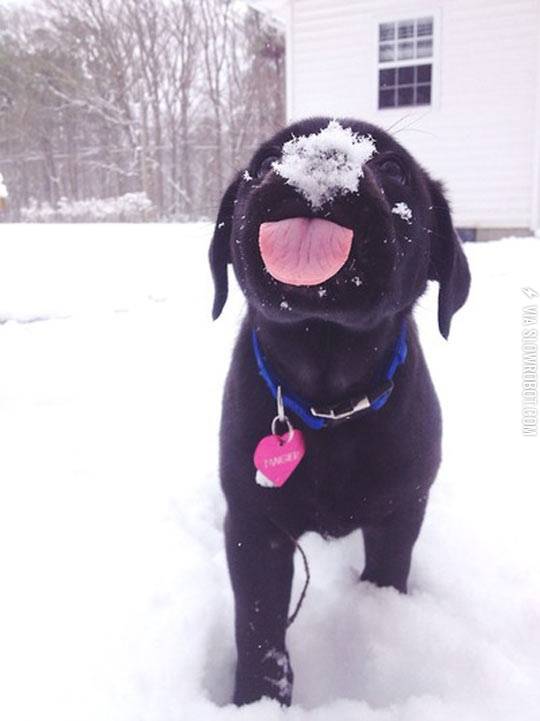 She+loves+snow.