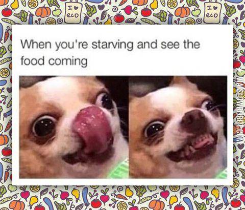 The+waiter+comes+in+my+direction