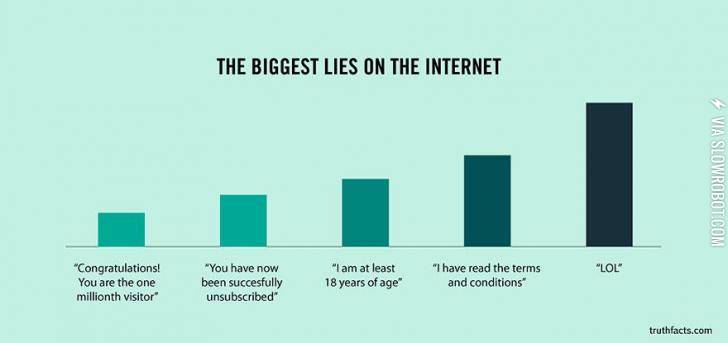 Biggest+lies+on+the+internet