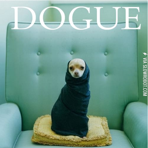 Dogue.