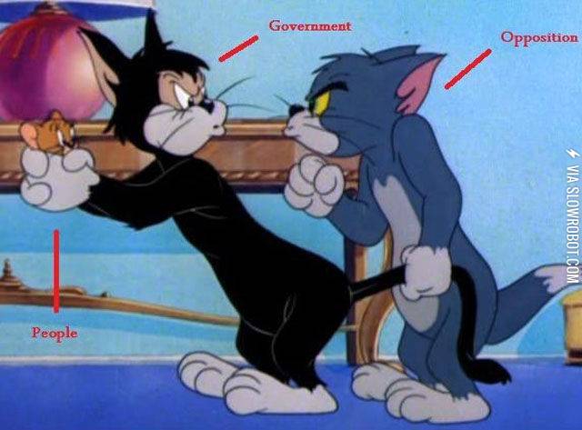 Government+in+a+nutshell