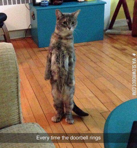 Who%26%23039%3Bs+At+The+Door%3F