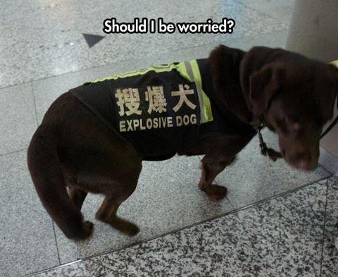 Keep+him+away+from+fire