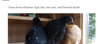 Chicken+named+Kylo+Hen