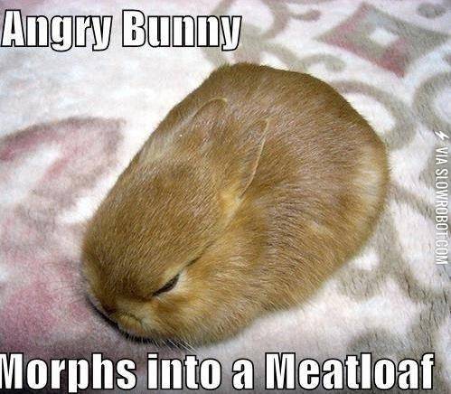 All+the+Adorableness