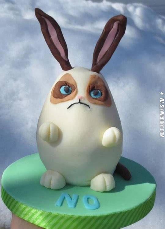 If+grumpy+cat+were+a+bunny.