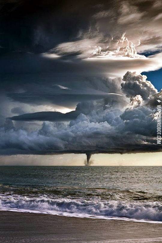 The+beauty+of+nature.