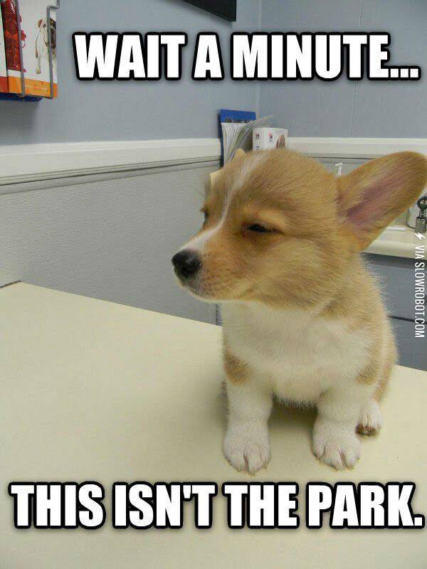 Scumbag+human%26%238230%3B