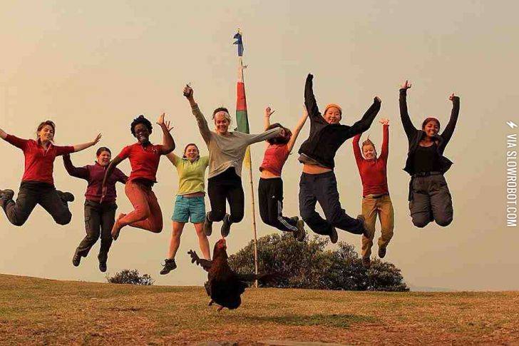 Most+epic+jumping+pic+ever%21+%23chicken+photobomb