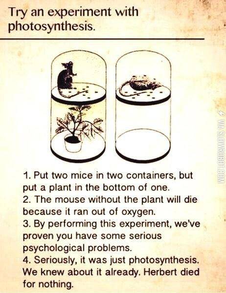 You%26%23039%3Bve+got+issues