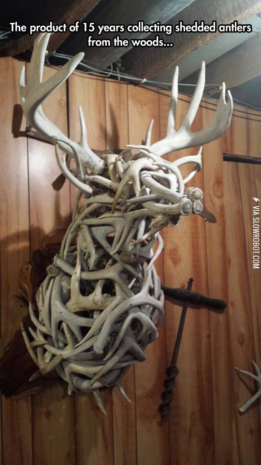 Magnificent+Sculpture+Using+Antlers