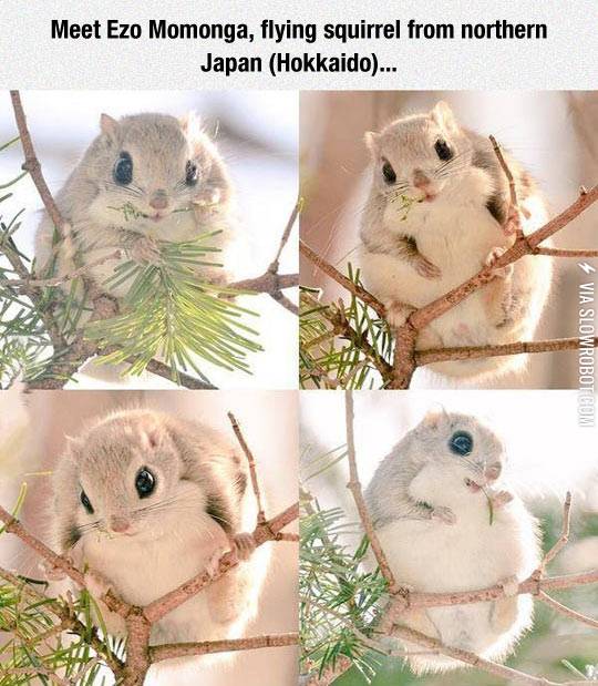 I+Would+Like+To+See+One+In+Person