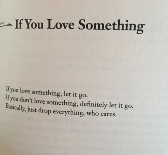 If+You+Love+Something
