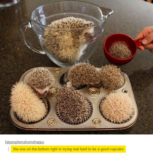 At+Least+They%26%238217%3Bre+Trying