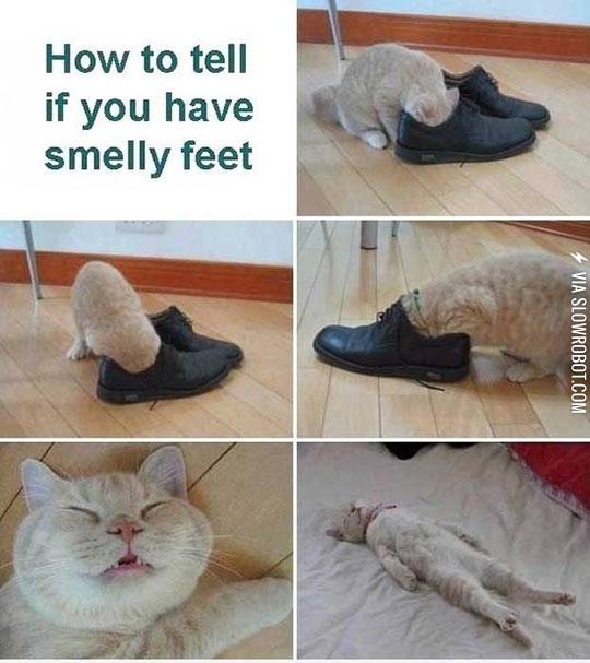 How+to+tell+if+you+have+smelly+feet.