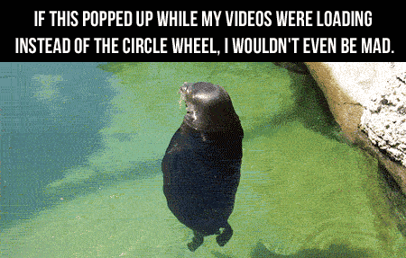 Youtube+should+listen.