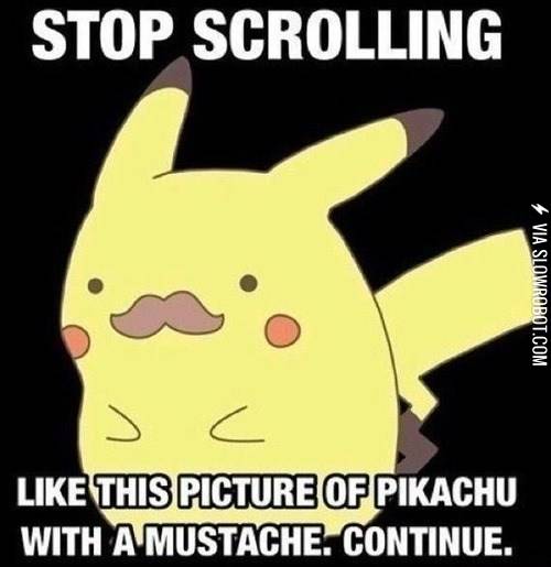 Stop+scrolling.