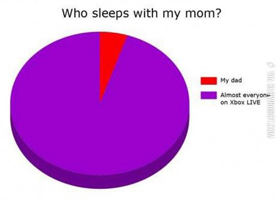 Very+Accurate+Pie+Chart