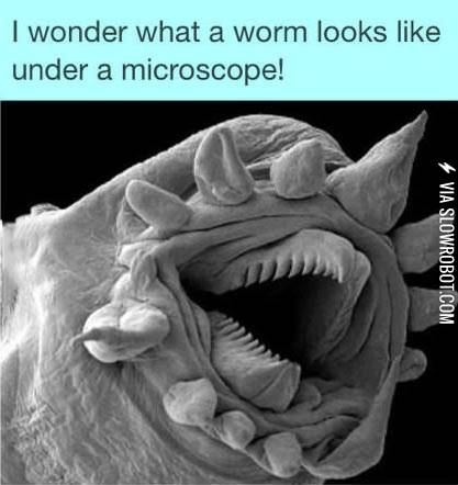 And+now+you+know%26%238230%3B