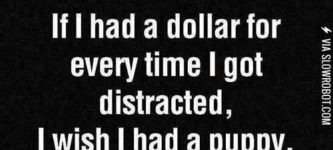 If+I+had+a+dollar+for+every+time+I+got+distracted%26%238230%3B