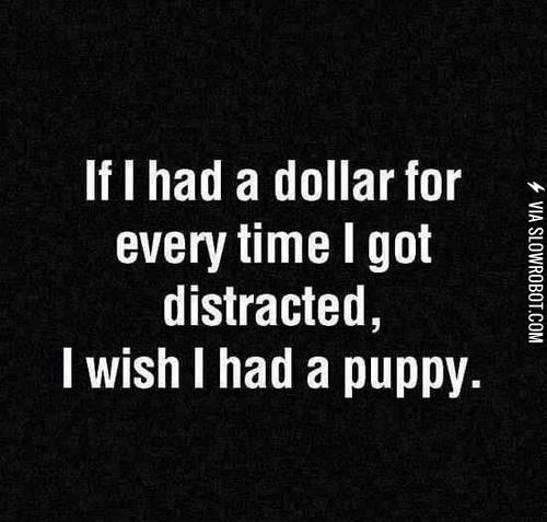 If+I+had+a+dollar+for+every+time+I+got+distracted%26%238230%3B