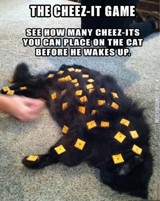 What+a+waste+of+Cheez-its.
