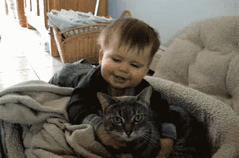 Why+is+this+tiny+human+laying+on+me%3F