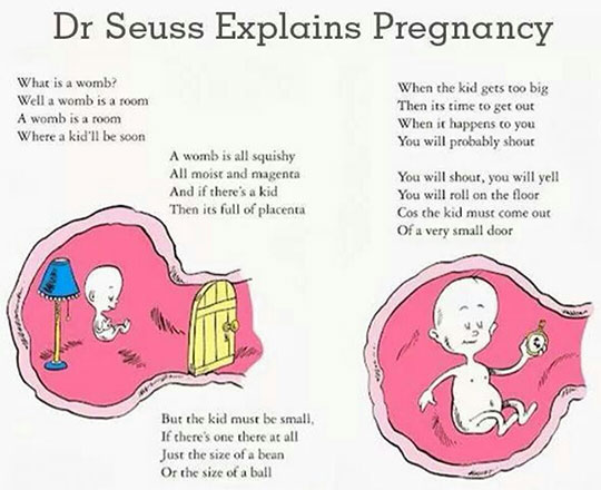 When+Dr.+Seuss+Explains+Pregnancy